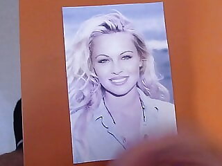 Pamela Anderson, old Cum Tribute in my PC